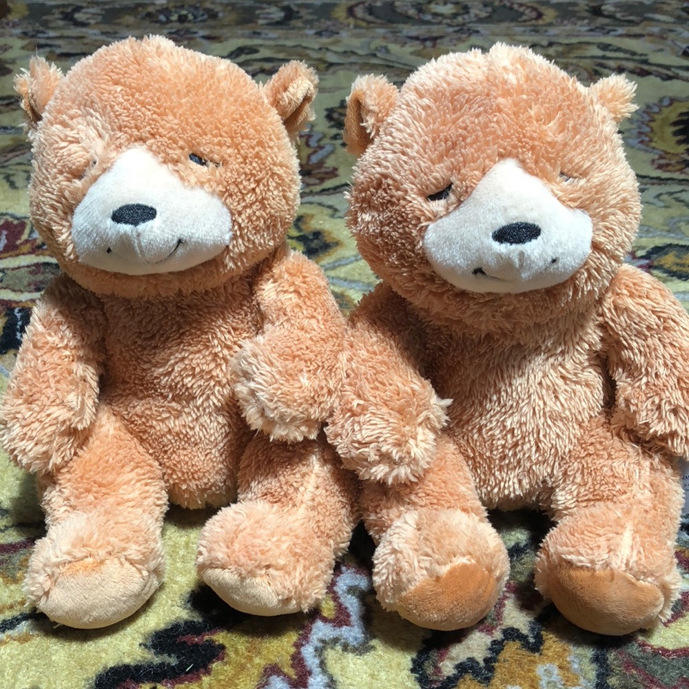 Two Teddy Bears